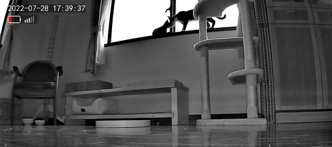 3691771426_1659003426591