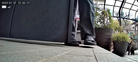 3691771426_1675146996545