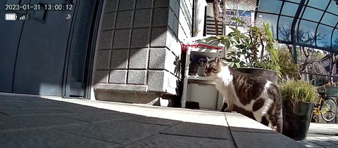 3691771426_1675143660650