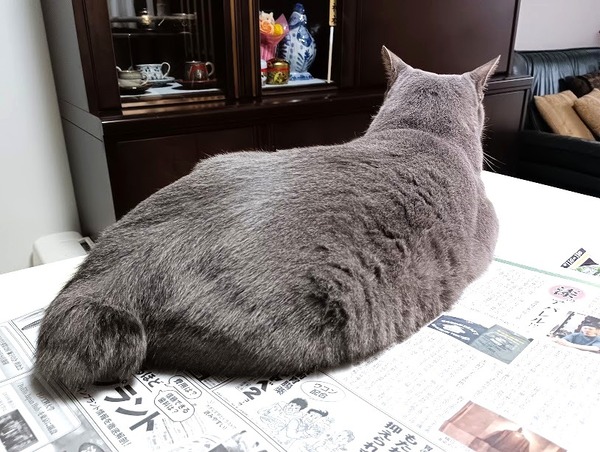 IMG_20251011_090150 (1)