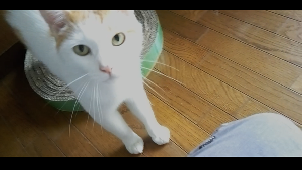 Screenshot_20240715-165050