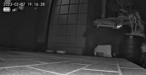 3691771426_1675764990604