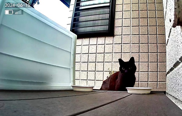 3691771426_1718428426671