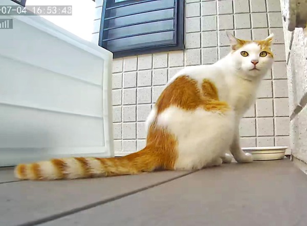 3691771426_1720099437826