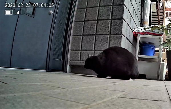 3691771426_1677105470632