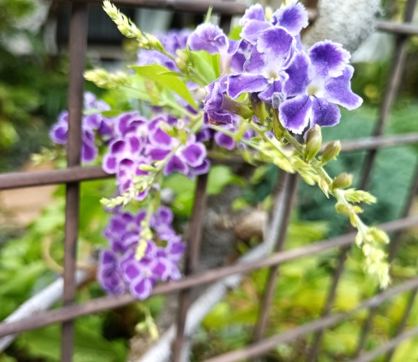 IMG_20251006_160513_1