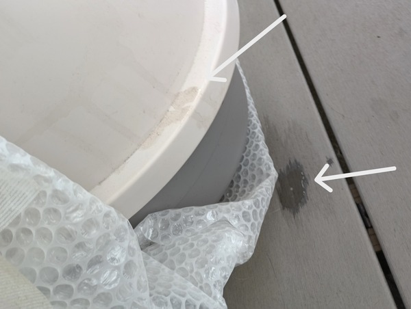 IMG_20250331_111011_1