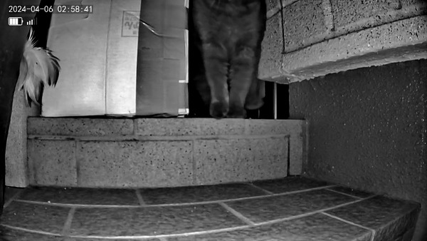 3691771426_1712658343533