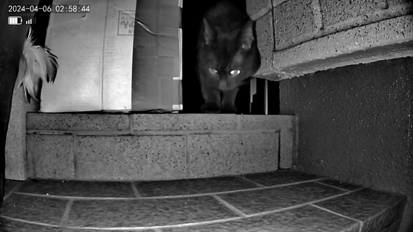 3691771426_1712399636612