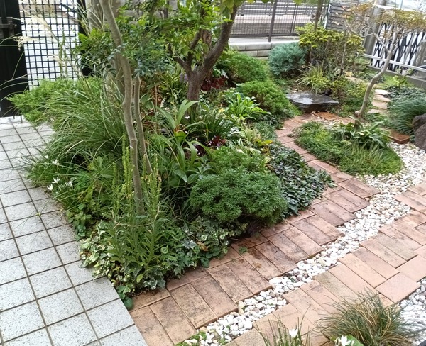 IMG_20251006_161047_1