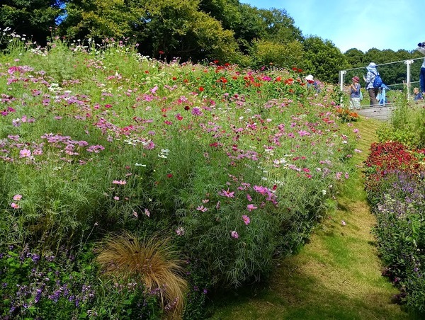 IMG_20251008_121525_1