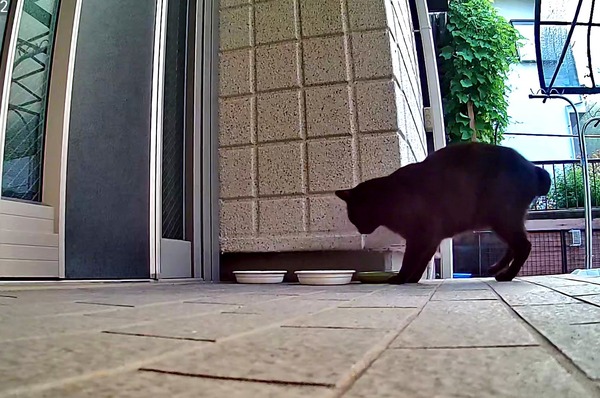 3691771426_1699255168955