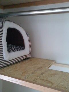 c0402989_18250983 (2)