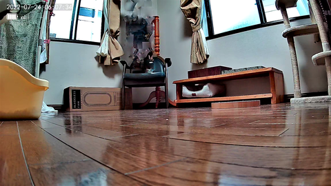 3691771426_1658647678850