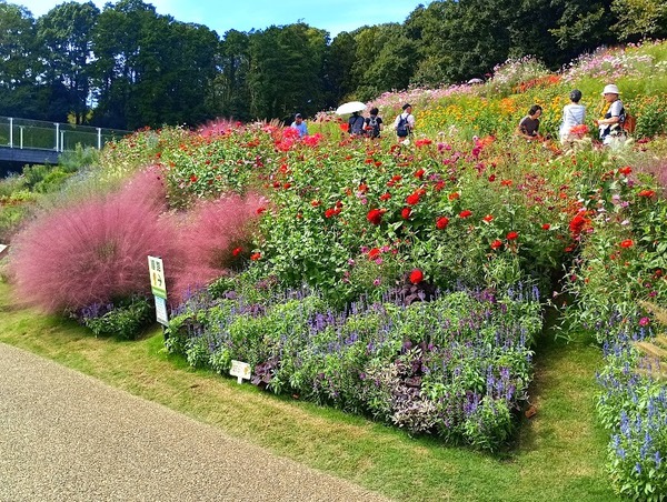 IMG_20251008_121735_1