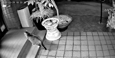 3691771426_1648547410319