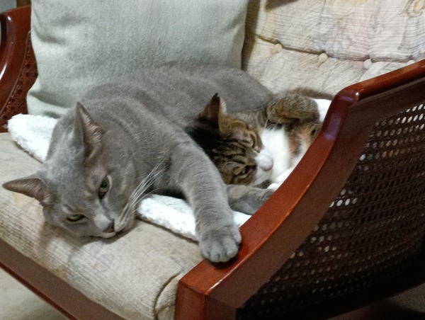 IMG_20250928_193954_1