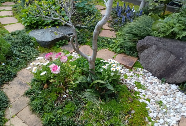 IMG_20250412_161757_1