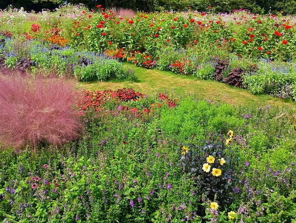 IMG_20251008_121633_1