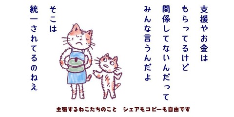 298965879_414892197290399_945368480744551322_n