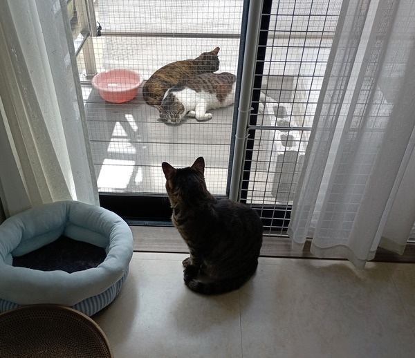 IMG_20250507_105402_1