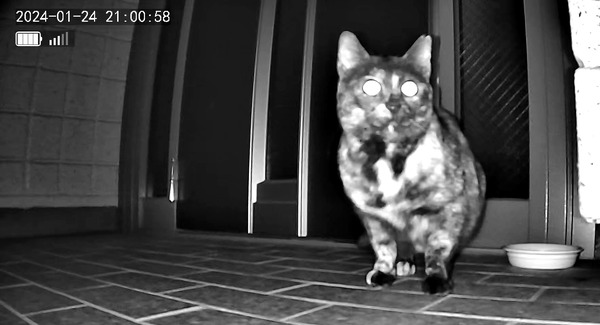 3691771426_1706098978438