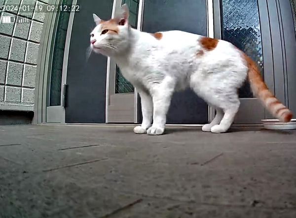 3691771426_1705815410568