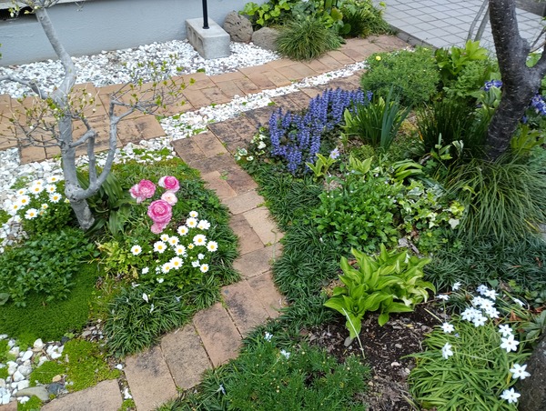 IMG_20250412_161829_1