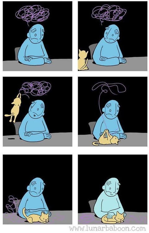 328829839_758821341912241_4463986046699408634_n