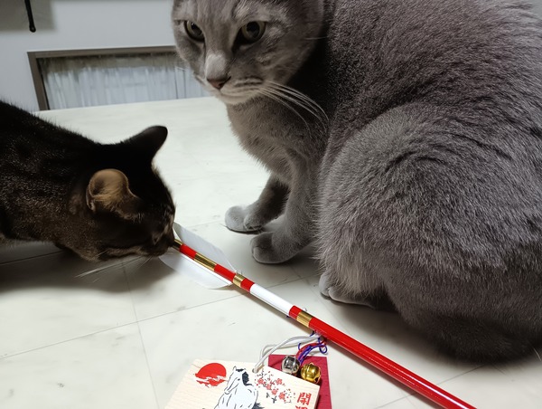 IMG_20260101_074119_1