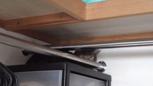 c0402989_18262434 (1)