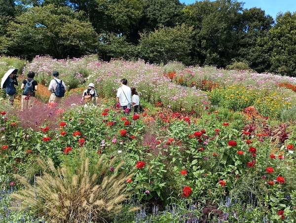 IMG_20251008_121716_1