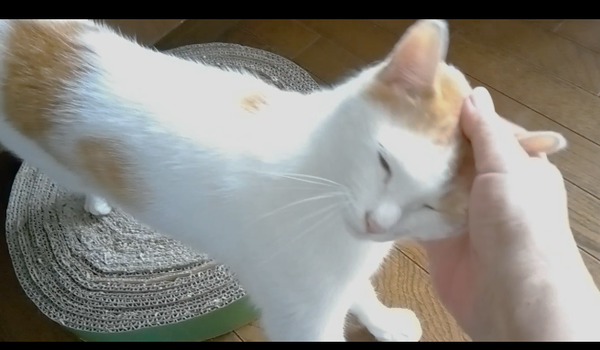 Screenshot_20240715-165105