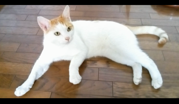 Screenshot_20240715-165001