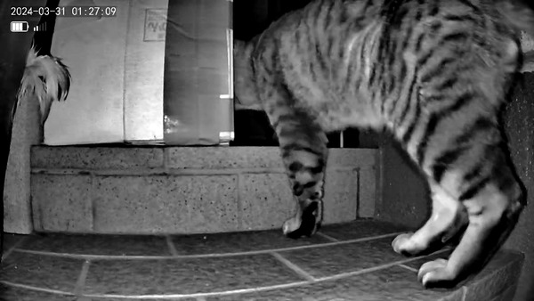 3691771426_1711930693611