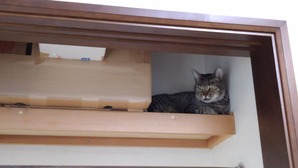 c0402989_18262171 (1)