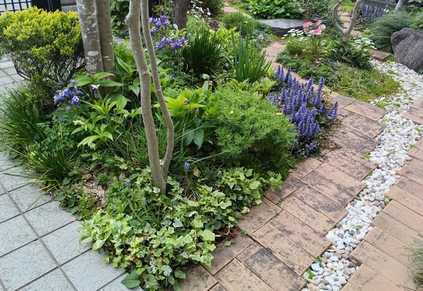 IMG_20250412_161749_1