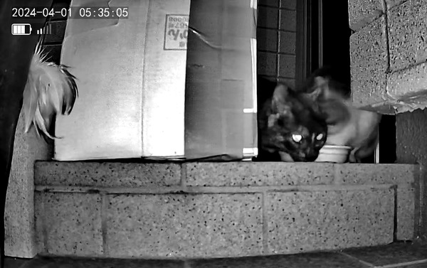 3691771426_1711924716971