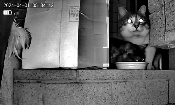 3691771426_1711924680938