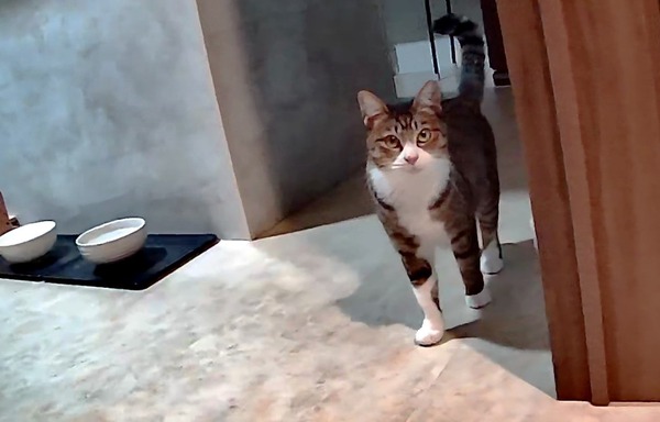 3691771426_1700728687155