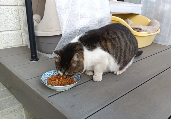 IMG_20250223_155901_1