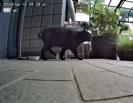 3691771426_1681518523191