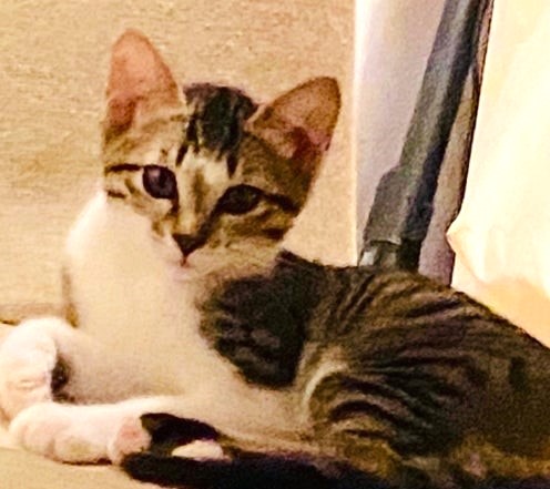 o1080108015159648947