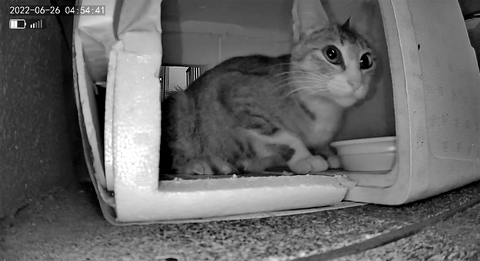 3691771426_1656187825583