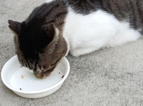 IMG_20251006_161003_1