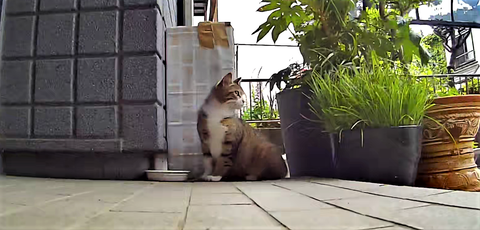 3691771426_1650607721471