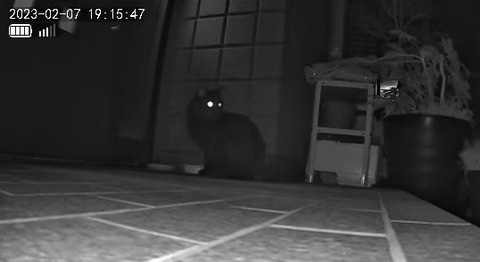 3691771426_1675764949052