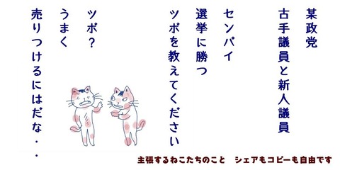 295601590_403074728472146_4915189947654242445_n