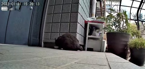 3691771426_1675146493716