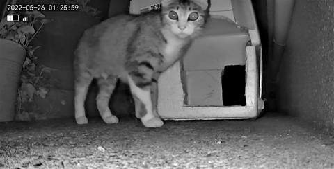 3691771426_1653514461707